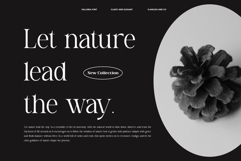 Valloria - Family Serif Font Product Image 7