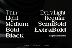 Valloria - Family Serif Font Product Image 8