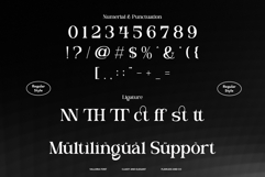 Valloria - Family Serif Font Product Image 9