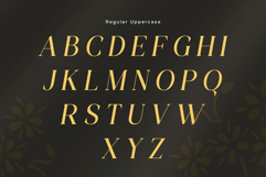 Affiora Family Font Product Image 7