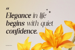 Affiora Family Font Product Image 5