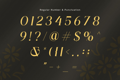 Affiora Family Font Product Image 9