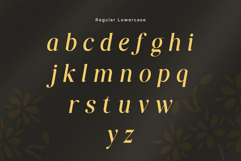 Affiora Family Font Product Image 8