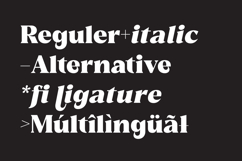 Reshiga - Serif Font Product Image 3
