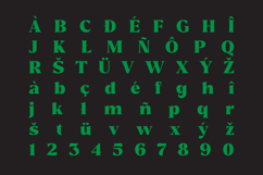 Reshiga - Serif Font Product Image 8