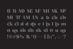 Reshiga - Serif Font Product Image 9