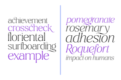 Ragmont Thin Product Image 5