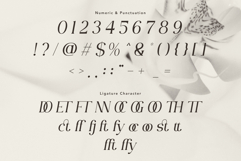 Veloura Product Image 9