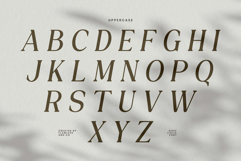 Astreva Product Image 10