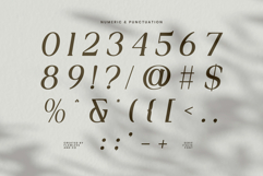 Astreva Product Image 8