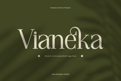 Vianeka Product Image 1