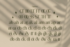 Vianeka Product Image 9