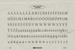 Boliens Modern Serif Product Image 3