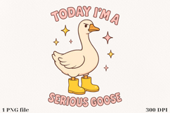 Silly Goose Sublimation Design | PNG File Product Image 1