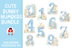 Easter Bunny Number 0-9 PNGs,Baby Shower Sublimation Design Product Image 1