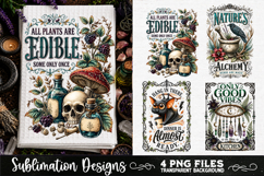 Magic Witchy Kitchen Towels PNG Sublimation Designs 4 Files Product Image 3