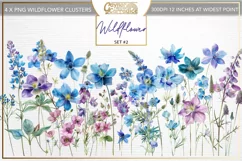 Blue Wildflower Clusters, 4 x png watercolour flower borders Product Image 1