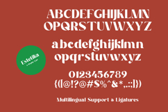 Estetika - Modern Serif Font Product Image 10