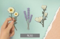Set of Wild Dry Pressed Flower Clipart Product Image 1