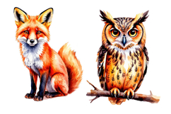 Fall Woodland animals , clipart, PNG, Animals,Fall, Woodland Product Image 5