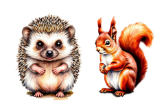 Fall Woodland animals , clipart, PNG, Animals,Fall, Woodland Product Image 7