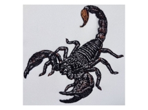 Emperor Scorpion Product Image 3