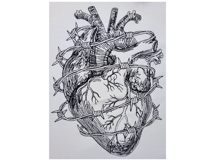 Anatomical Heart with Barbed Wire Blackwork Product Image 3