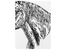 Horse Face Outline Product Image 5