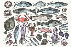 Fish and seafood sketches Product Image 1
