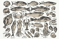 Fish and seafood sketches Product Image 2