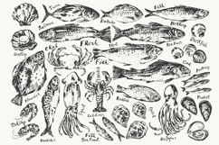 Fish and seafood sketches Product Image 3