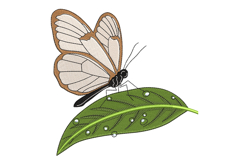 Transparent Wing Butterfly Machine Embroidery Design Product Image 1