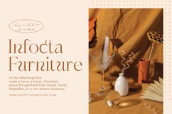 Shagaina - Beauty Aesthetic Serif Product Image 5