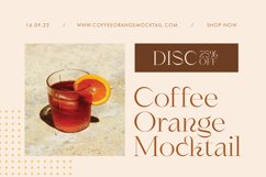 Shagaina - Beauty Aesthetic Serif Product Image 2