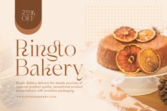 Shagaina - Beauty Aesthetic Serif Product Image 6