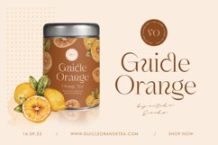 Shagaina - Beauty Aesthetic Serif Product Image 3