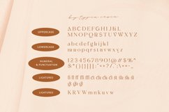 Shagaina - Beauty Aesthetic Serif Product Image 10