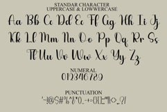 Shabby Writing Product Image 7