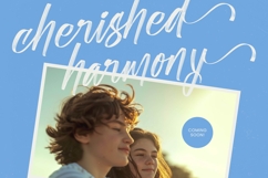 Shade Crush - Bold Brush Font Product Image 6