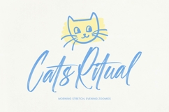 Shade Crush - Bold Brush Font Product Image 15