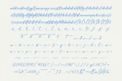 Shade Crush - Bold Brush Font Product Image 19