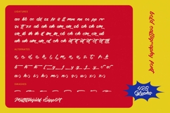 Shading Flash - Bold Calligraphy Font Product Image 19