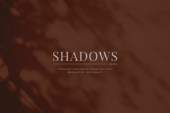 50 Shadow Overlays 04 Windows and Plants Product Image 1