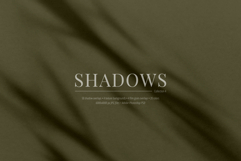 50 Shadow Overlays 04 Windows and Plants Product Image 4