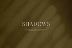 50 Shadow Overlays 04 Windows and Plants Product Image 6