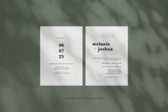 50 Shadow Overlays 04 Windows and Plants Product Image 10