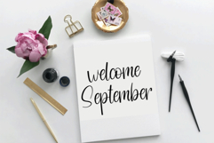 Shadow Vintage Product Image 5