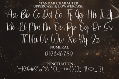 Shadow Vintage Product Image 7