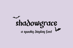 Shadowgrace Display Font Product Image 1