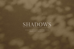 50 Shadow Overlays 01 Plants and Windows Product Image 1